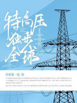 特高压技术在全球哪些国家应用